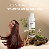 7Days Ginger Hair Oil with Sunflower oil, Sesame Seed oil, Castor Oil & Ginger Oil - 100ml (100 ML)