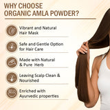 7Days Natural Amla Powder with Curry Leaves & Hibiscus – Ayurvedic Dried Powder Herbs for Hair Nourishment & Skin Rejuvenation(200 Gm)