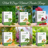 7DAYSNATURAL,Moringa powder is a nutrient-rich supplement made from the dried leaves of the moringa tree,(200GM)