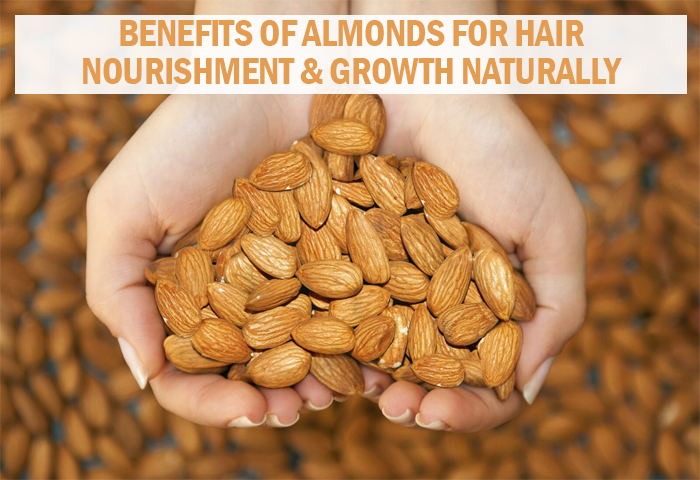 Benefits of Almonds for Hair – Nourishment & Growth Naturally - 7DaysNatural