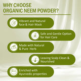 7Days Natural 100% Pure Neem Leaves Powder 200 Grams (Sun Dried & Stemless) for Face, Skin, Hair Growth Pack