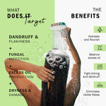 Peptide + Biotin Dandruff Shampoo  7DaysNatural