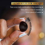 Shilajit Gummies for Energy, Stamina & Focus